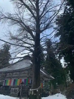 西光寺の本殿・本堂