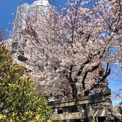 櫻田神社の自然