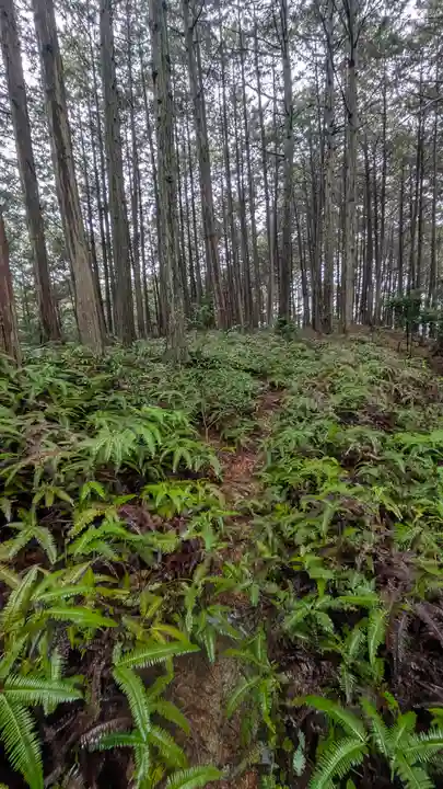 秋葉神社(京都府)