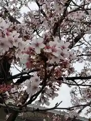 東光寺(神奈川県)