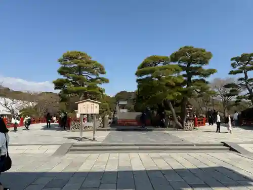 鶴岡八幡宮(神奈川県)