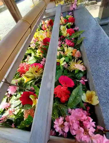 豊景神社の手水