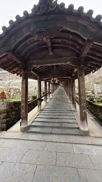 長谷寺(奈良県)