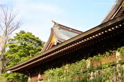 寒川神社の本殿・本堂