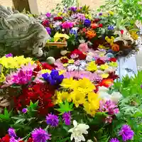 滑川神社 - 仕事と子どもの守り神の手水舎