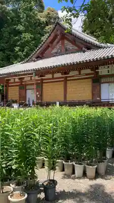 松尾寺(奈良県)