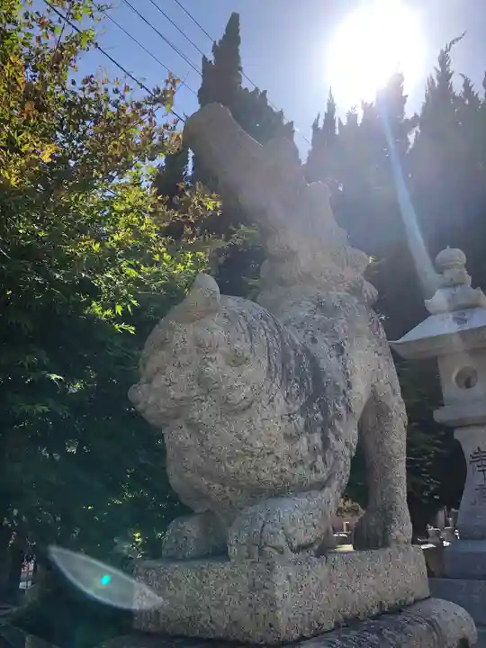 三津厳島神社の狛犬