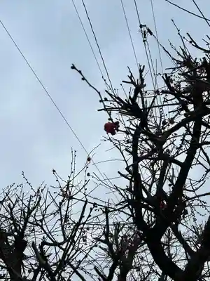 女化神社(茨城県)