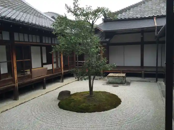 建仁寺(建仁禅寺)の庭園