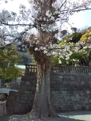 叶神社 (西叶神社)(神奈川県)