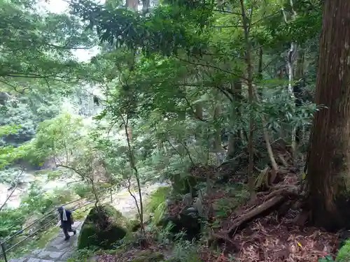 飛瀧神社（熊野那智大社別宮）(和歌山県)