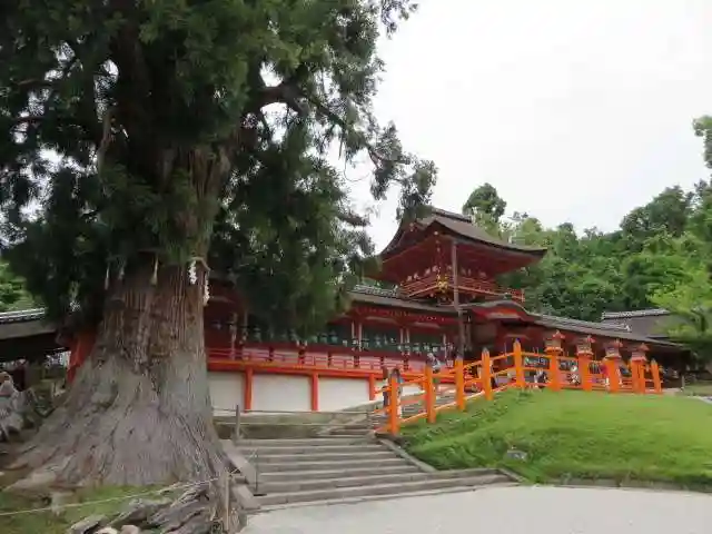 春日大社(奈良県)