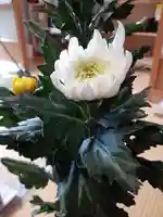 伏木香取神社(茨城県)