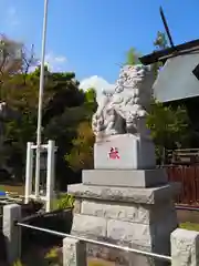 鷲神社の狛犬