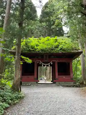 戸隠神社奥社(長野県)