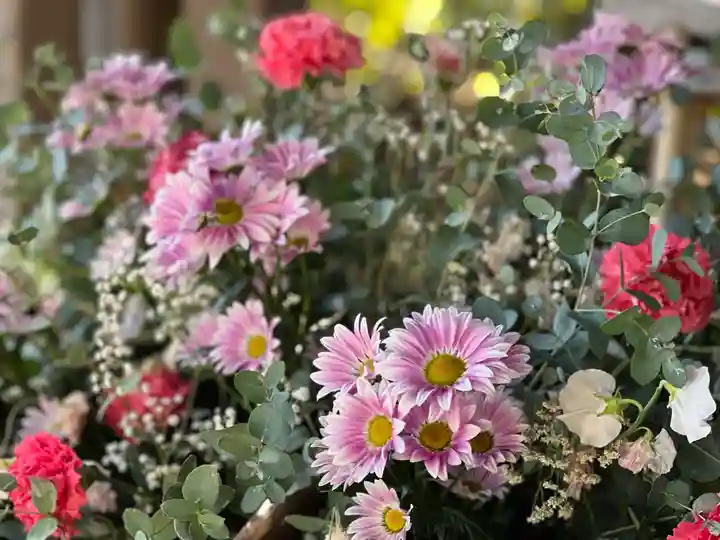 富知六所浅間神社の自然