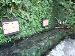 貴船神社の手水