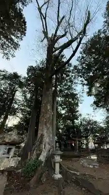 天満神社(兵庫県)