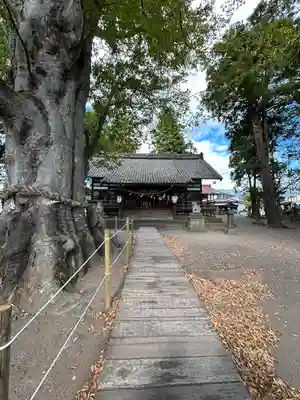 白鳥神社(長野県)