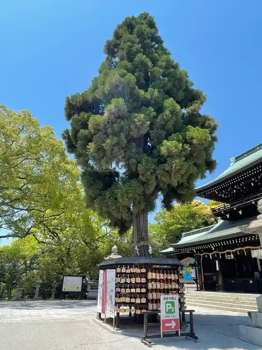 遠石八幡宮の自然