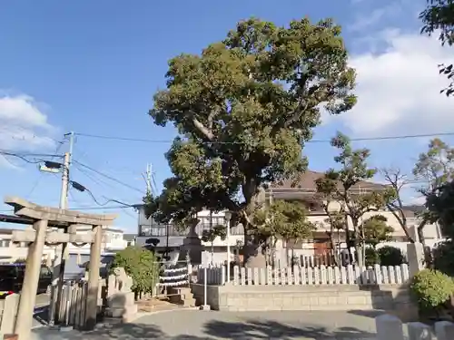 伯太神社のその他建物