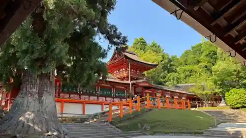 春日大社(奈良県)