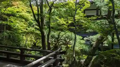 禅林寺(永観堂)(京都府)