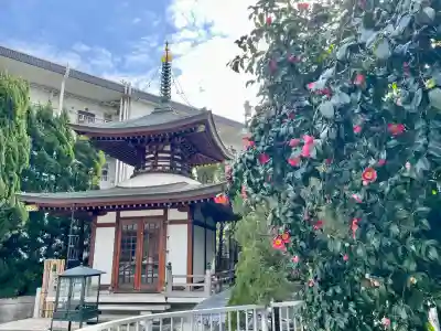 戒行寺の{uncategorized: "未分類", other: "その他", undefined: "問題あり", building: "その他建物", grave: "お墓", sacred_gate: "鳥居", guardian: "狛犬", statue: "像", buddha: "仏像", history: "歴史", nature: "自然", garden: "庭園", animal: "動物", pagoda: "塔", temizu: "手水舎", mountain_gate: "山門・神門", sanctuary: "本殿・本堂", subordinate: "末社・摂社", art: "芸術", scenery: "景色", jizo: "地蔵", ema: "絵馬", goshuin: "御朱印", omikuji: "おみくじ", items: "授与品その他", amulet: "お守り", goshuincho: "御朱印帳", eats: "食事", festival: "お祭り", votive_dance: "神楽", shichigosan: "七五三参", wedding: "結婚式", experience: "体験その他", initially: "初詣", around: "周辺", anti_infection: "感染症対策"}
