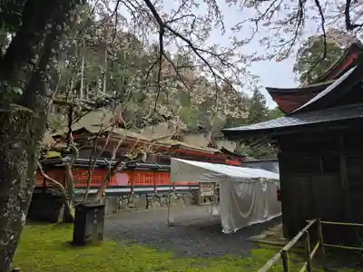 丹生都比売神社(和歌山県)
