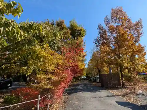 宝登山神社(埼玉県)