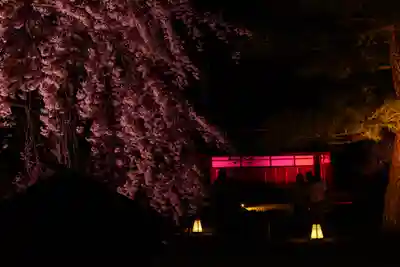 平安神宮(京都府)