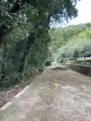 瑞厳寺(京都府)