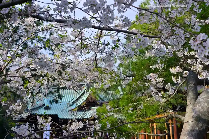 三嶋大社(静岡県)