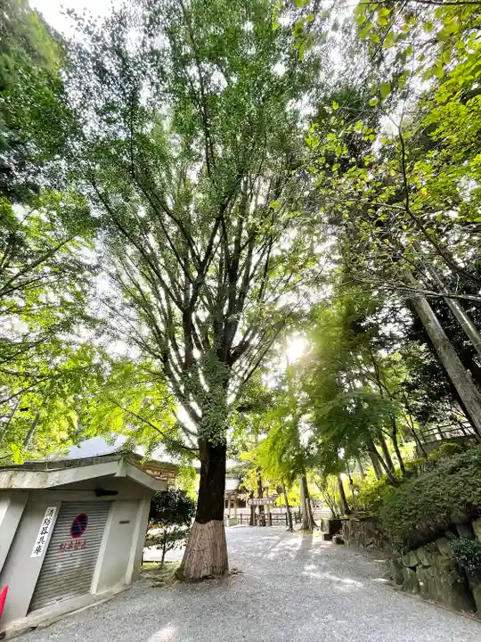 播州清水寺(兵庫県)