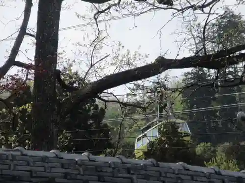 不動寺(埼玉県)