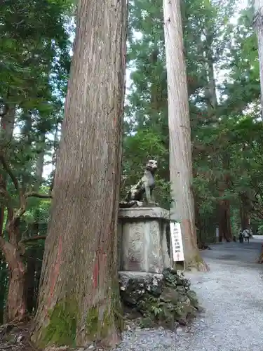 三峯神社の狛犬