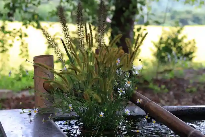 高司神社〜むすびの神の鎮まる社〜の手水舎