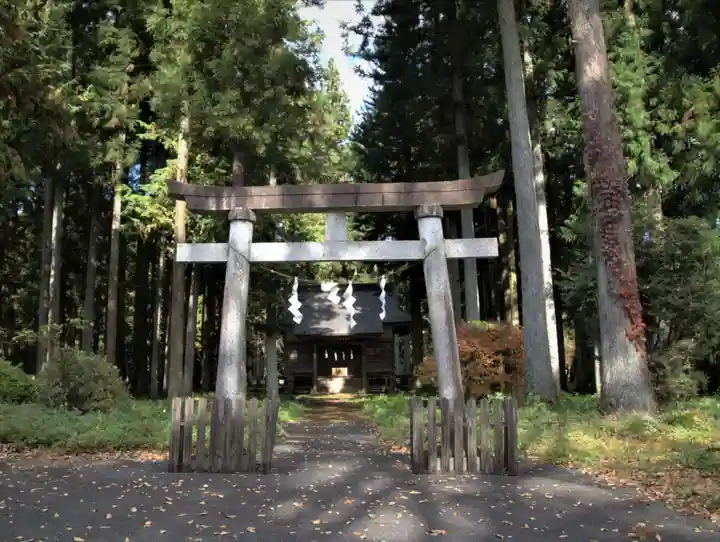 新渡神社の鳥居