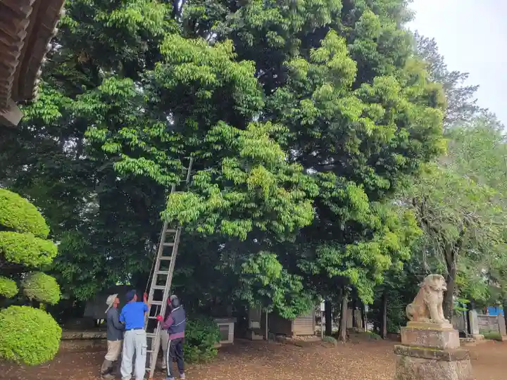伏木香取神社(茨城県)