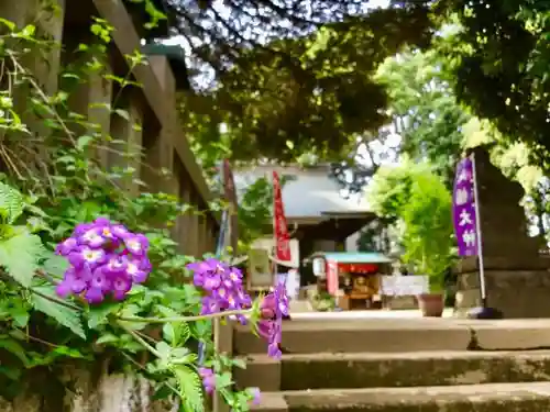 太子堂八幡神社の自然