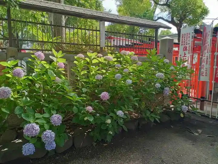阿部野神社(大阪府)