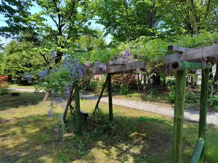 美瑛神社の自然