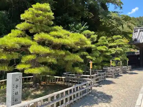 長谷寺(奈良県)