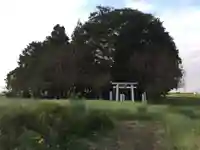 星宮神社の周辺