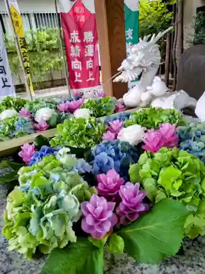 田無神社(東京都)