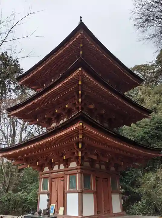 浄瑠璃寺(京都府)