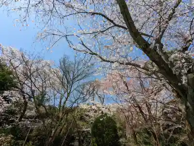 龍安寺(京都府)