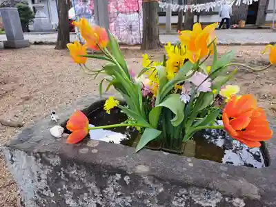 春日神社(徳島県)