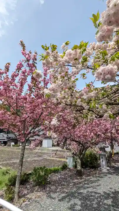伊香具神社(滋賀県)