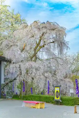 烏帽子山八幡宮(山形県)
